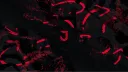 Jxsh's Discord banner