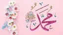 Salam Talk | Learn Islam, Talk to Muslims banner