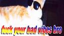 eggbois  Banner