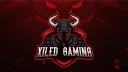 Xiled Gaming banner