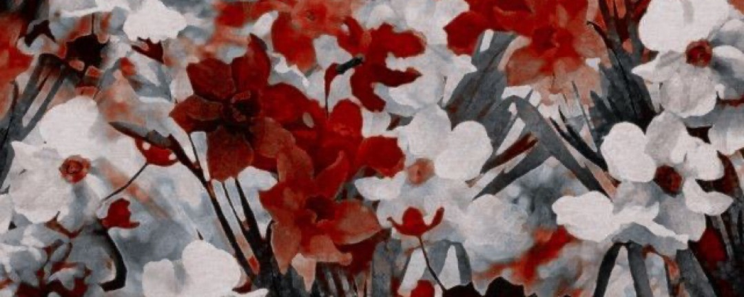 vy Banner