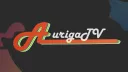 Auriga banner