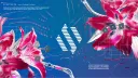 Shifters banner