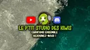 Le P'tit Studio Des Kiwis banner