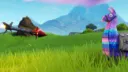 Dodo [Discord] banner