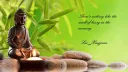 KOHAI banner
