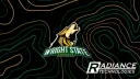 Wright State eSports banner