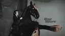 Star Stable Online - Star Riders banner