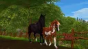 Star Stable Online - Star Riders banner