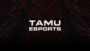 Texas A&M Esports Banner