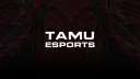 Texas A&M Esports banner