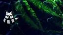 Waschbär Bau banner