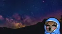 Lily Charles Twitch banner