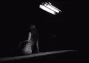 ☨ housofpsychoticwomn ☨ Discord server banner