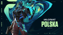 Background image of Discord server VALORANT Polska
