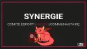 Synergie banner