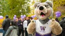 UWB Discord banner