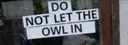 banner