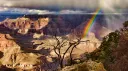 🌵 The Canyon 🌵 banner