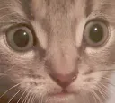 I wont say banner