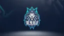 A.9.U.F™ Clan banner