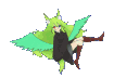 UCR Server banner