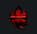 Brotherhood of Gamers banner