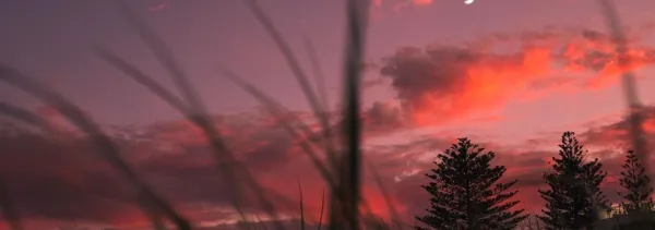 banner