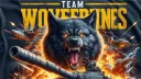 Wolverines banner