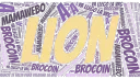 Lion's Company banner