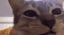 New Folder banner
