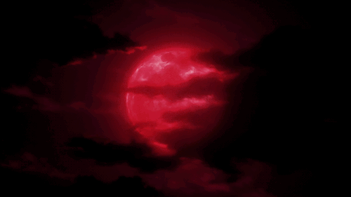 Emz Banner