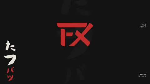 Team Fury X banner