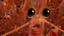 Camp Because I'm Bored banner
