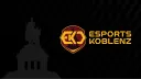 Esports Koblenz banner