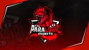 Amorphous eSports banner