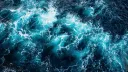 seas banner