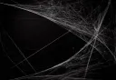 The Spider's Lair banner