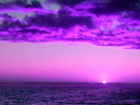 The Purple Kingdom💜 Discord server banner