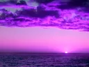 The Purple Kingdom💜 Discord server banner