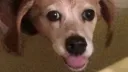 Bartholemews Fun House Discord server banner