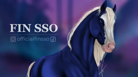 FIN SSO banner