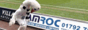 banner