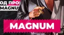 Magnum Squad banner