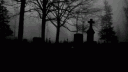 Attention Seekers banner