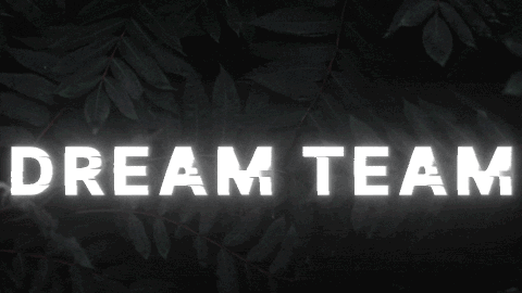 Dream Team banner