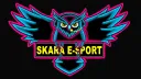 SKARA E-SPORT banner