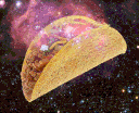 The Tacos Terps Gang banner
