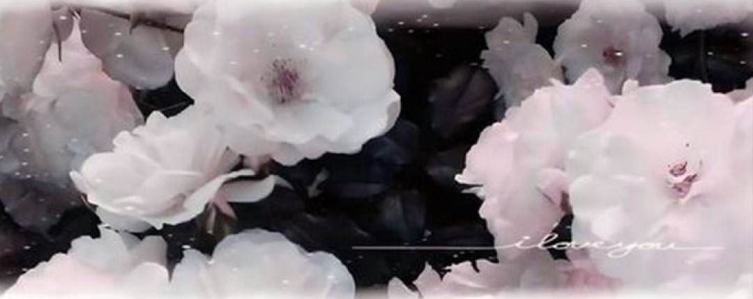 Michy Banner