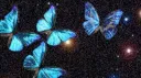 𝐢𝐫𝐨𝐧𝐲'𝐬 𝐯𝐨𝐢𝐝 banner